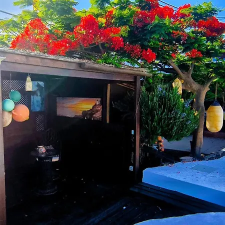 Lucia - Sol De Adu * Tías